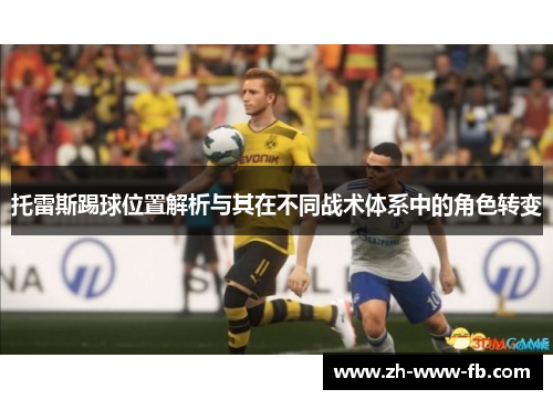 托雷斯踢球位置解析与其在不同战术体系中的角色转变