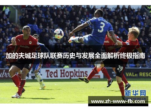 加的夫城足球队联赛历史与发展全面解析终极指南