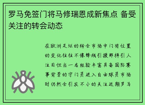 罗马免签门将马修瑞恩成新焦点 备受关注的转会动态